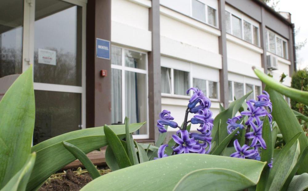 Hostel Rakitje-Rakitje מראה חיצוני תמונה